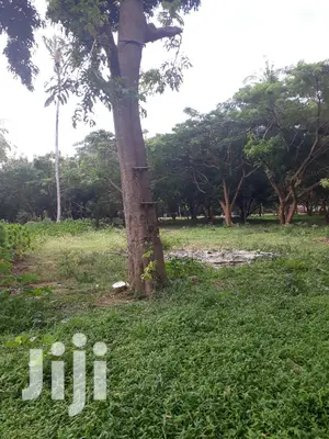 For Sale Several Quater Acre 2nd Raw Beach Plots Mtwapa.