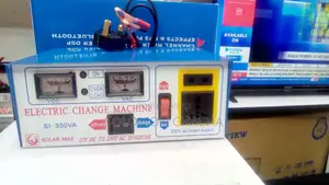 Solar Max Inverter 300W