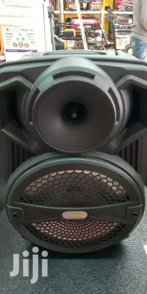 12" Portable 1200W PA Wireless BT Rechargeable Speaker