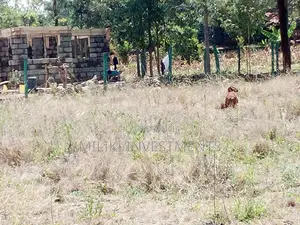 50 by 100 Plot for Sale at Makuyu.