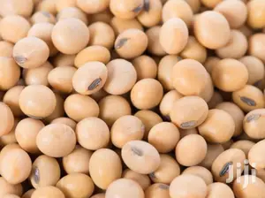 Soya Beans
