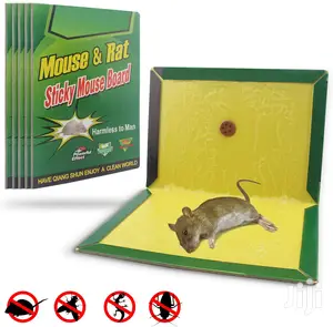 Rat/Mice/Mouse /Sticky Glue Board Traps