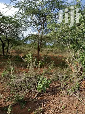 10 Acres Farming Land in Eremit(Near Tinga )At Per Acre
