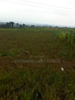 Land on Sale at Munyu Naivasha