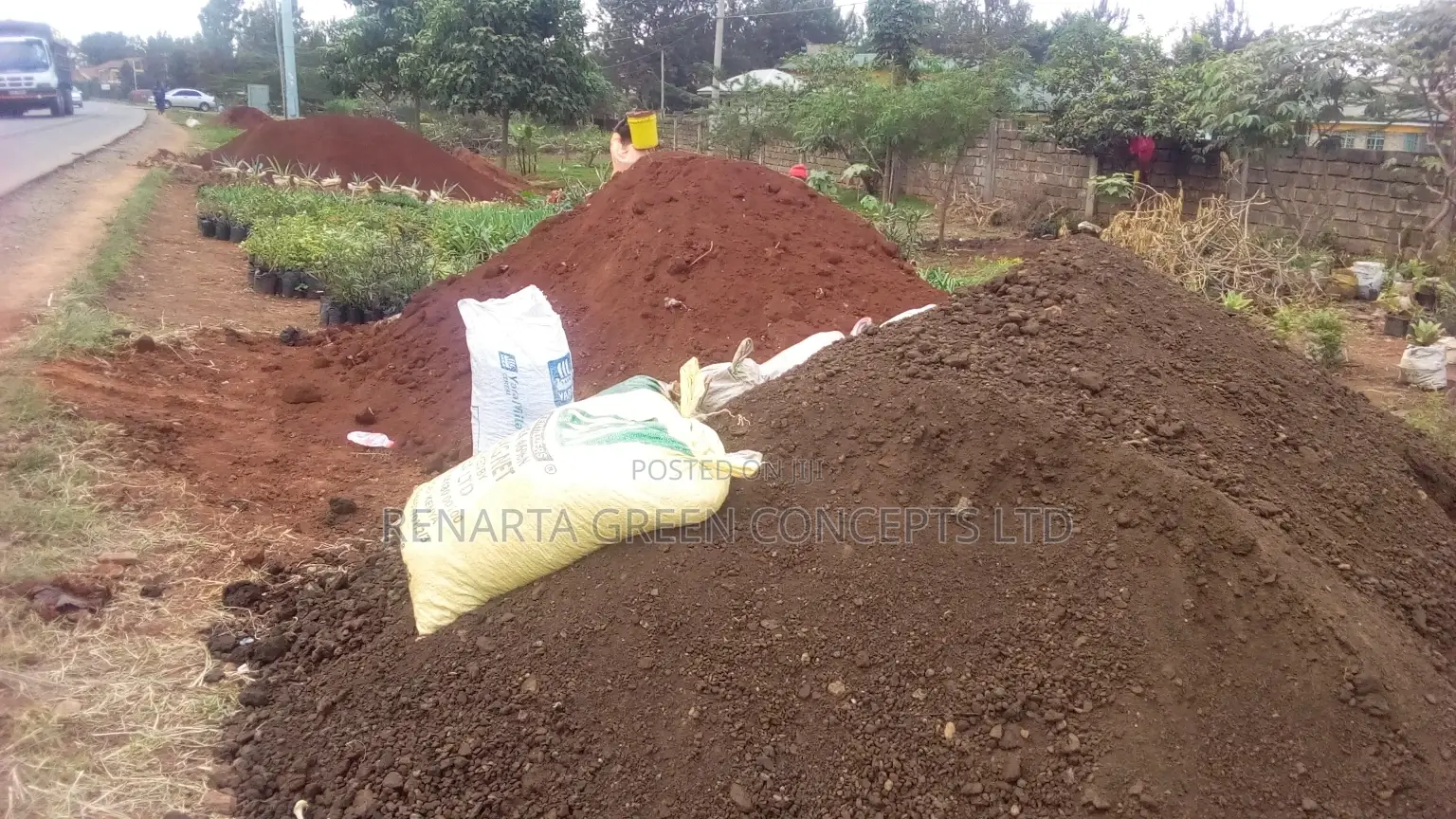 Goat Manure