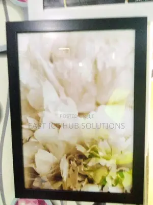 Boss Classy Premium Photo Frames And Decorative Mounts