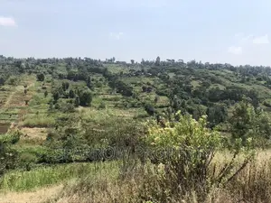 Land for Quick Sale-Nyeri Kiganjo