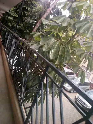 1bedroom To Let In Kilimani