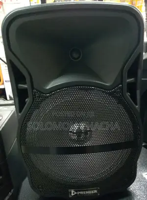 Premier Portable Speaker Suitcase