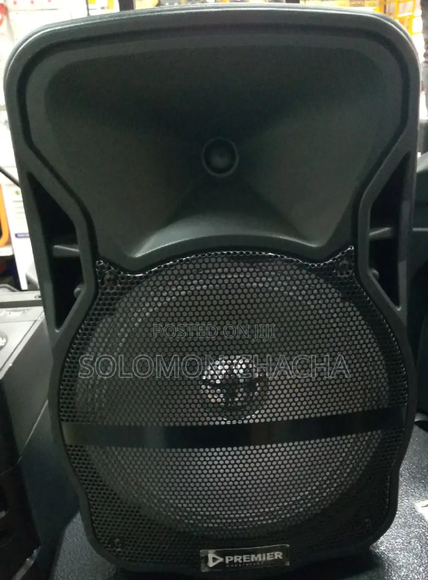 Premier Portable Speaker Suitcase