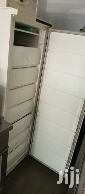 Upright Freezer 400l