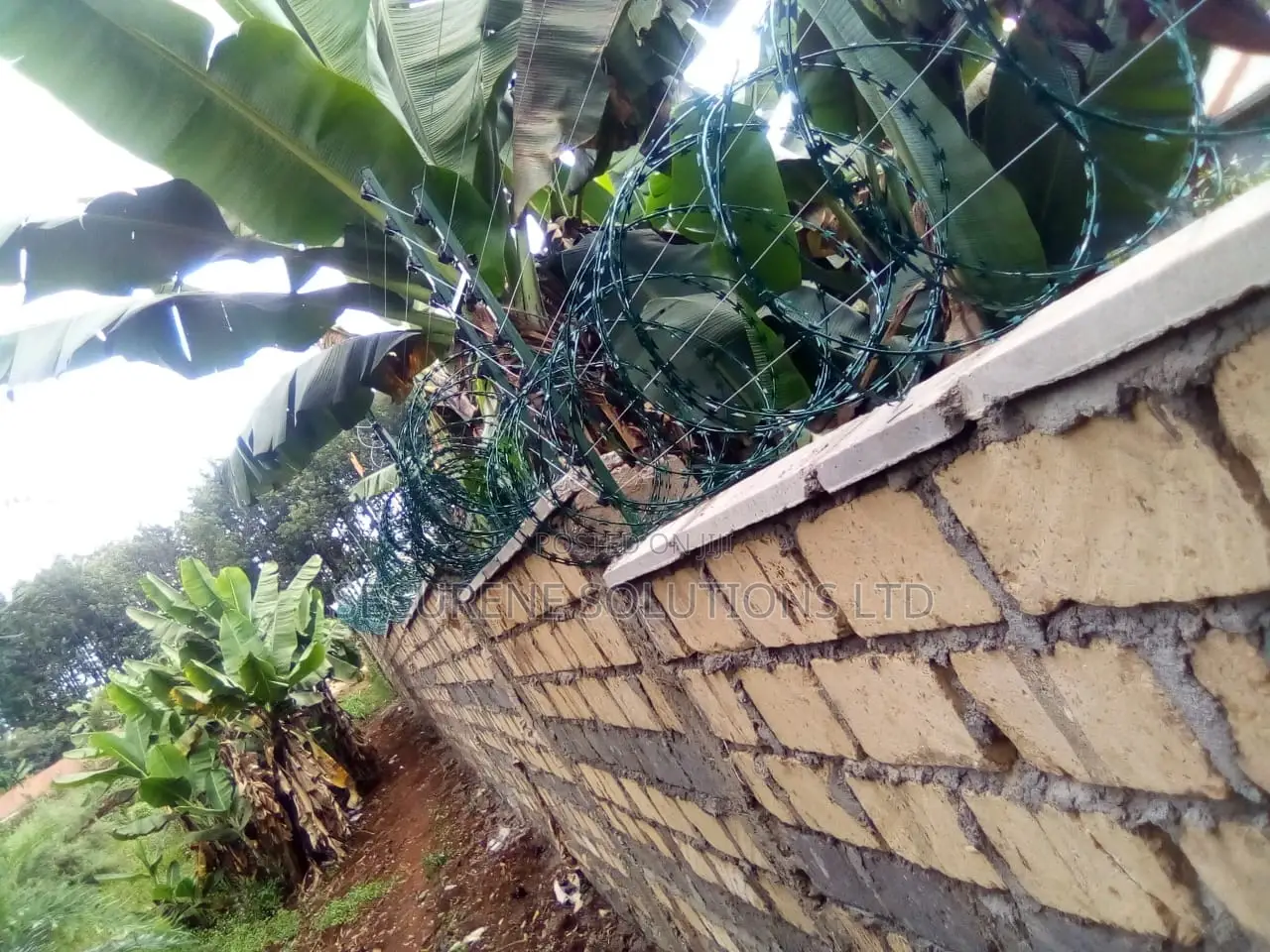 Energized Fences Integrated With Razor Wire