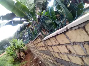 Energized Fences Integrated With Razor Wire