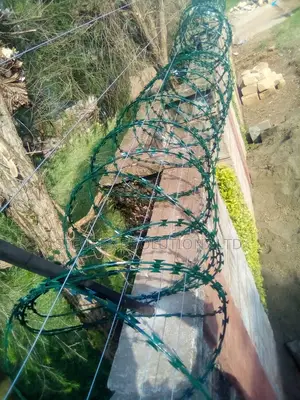 Energized Fences Integrated With Razor Wire