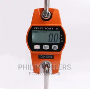 Mini Crane Scale Hanging Weighing Scales Heavy Duty Hanging