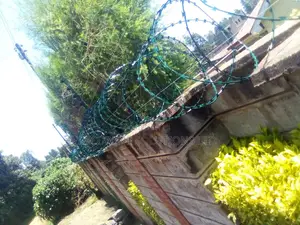 Energized Fences Integrated With Razor Wire