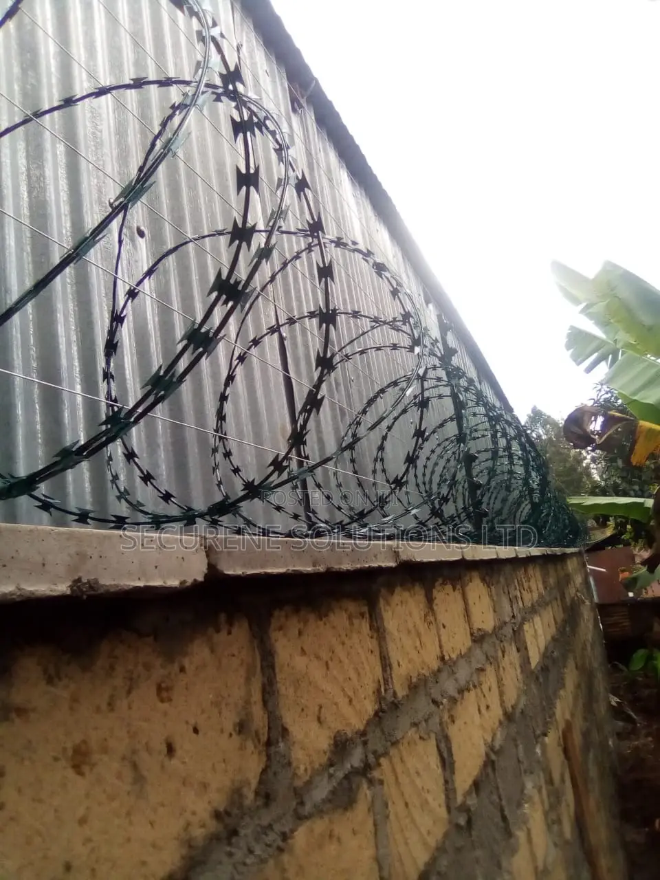 Energized Fences Integrated With Razor Wire