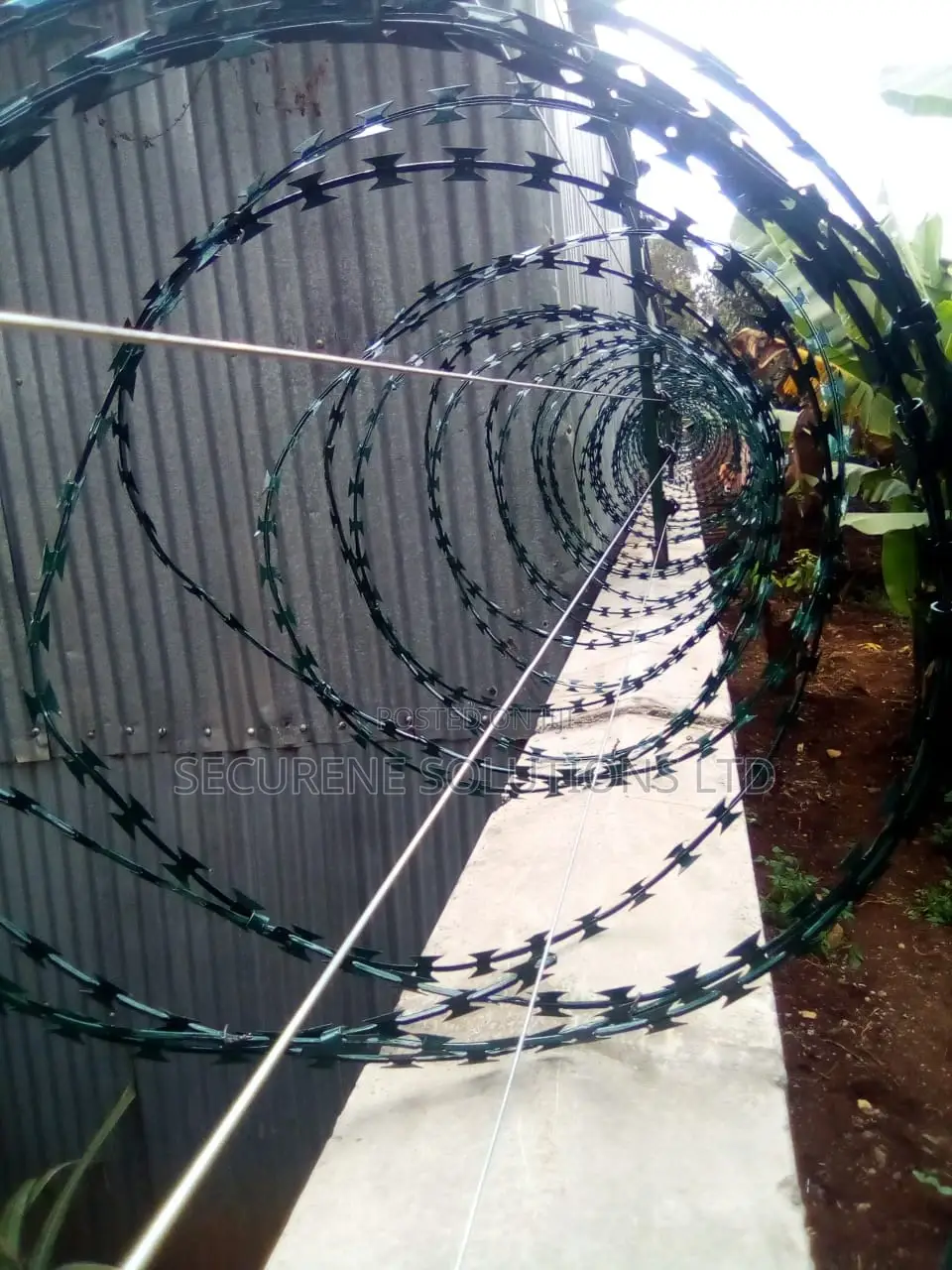 Energized Fences Integrated With Razor Wire