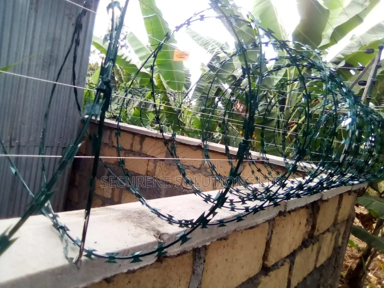 Energized Fences Integrated With Razor Wire