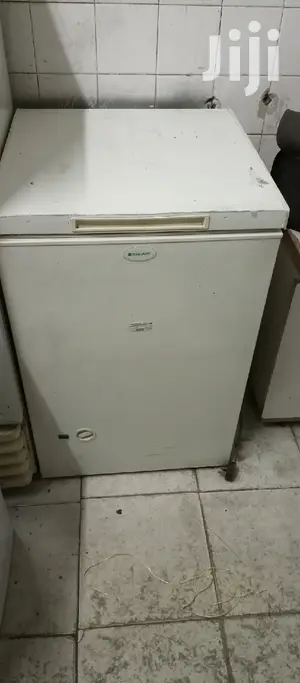 Mini Freezer