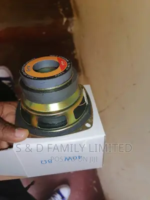 4 Inches Double Magnet Speaker