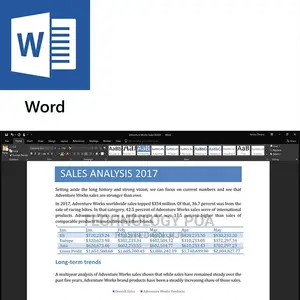 Microsoft Office Professional 2019