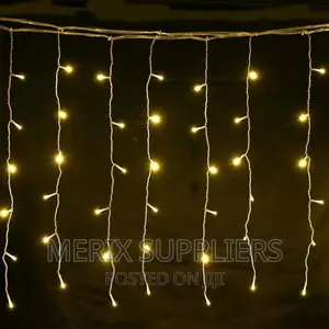 Fairy Lights/ String Lights 10 Metres Long Warm White Light