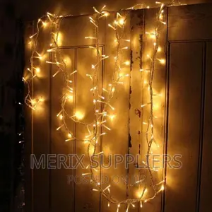 Fairy Lights/ String Lights 10 Metres Long Warm White Light