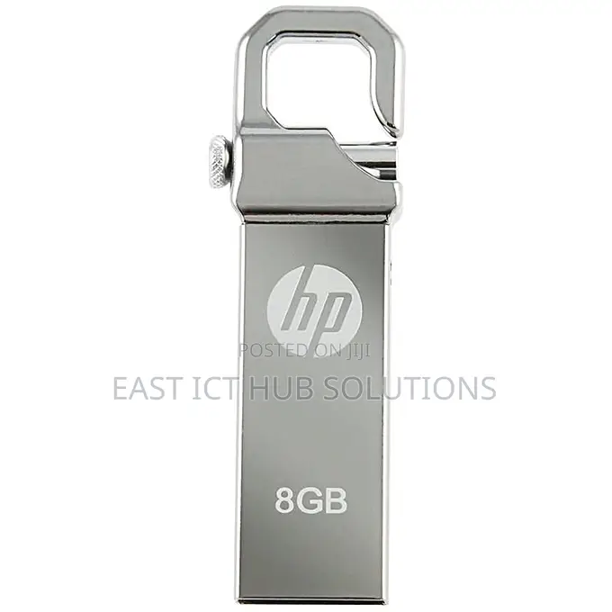 Flash Drives (HP)