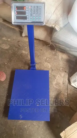 Weighing Computing Price Platform Scale