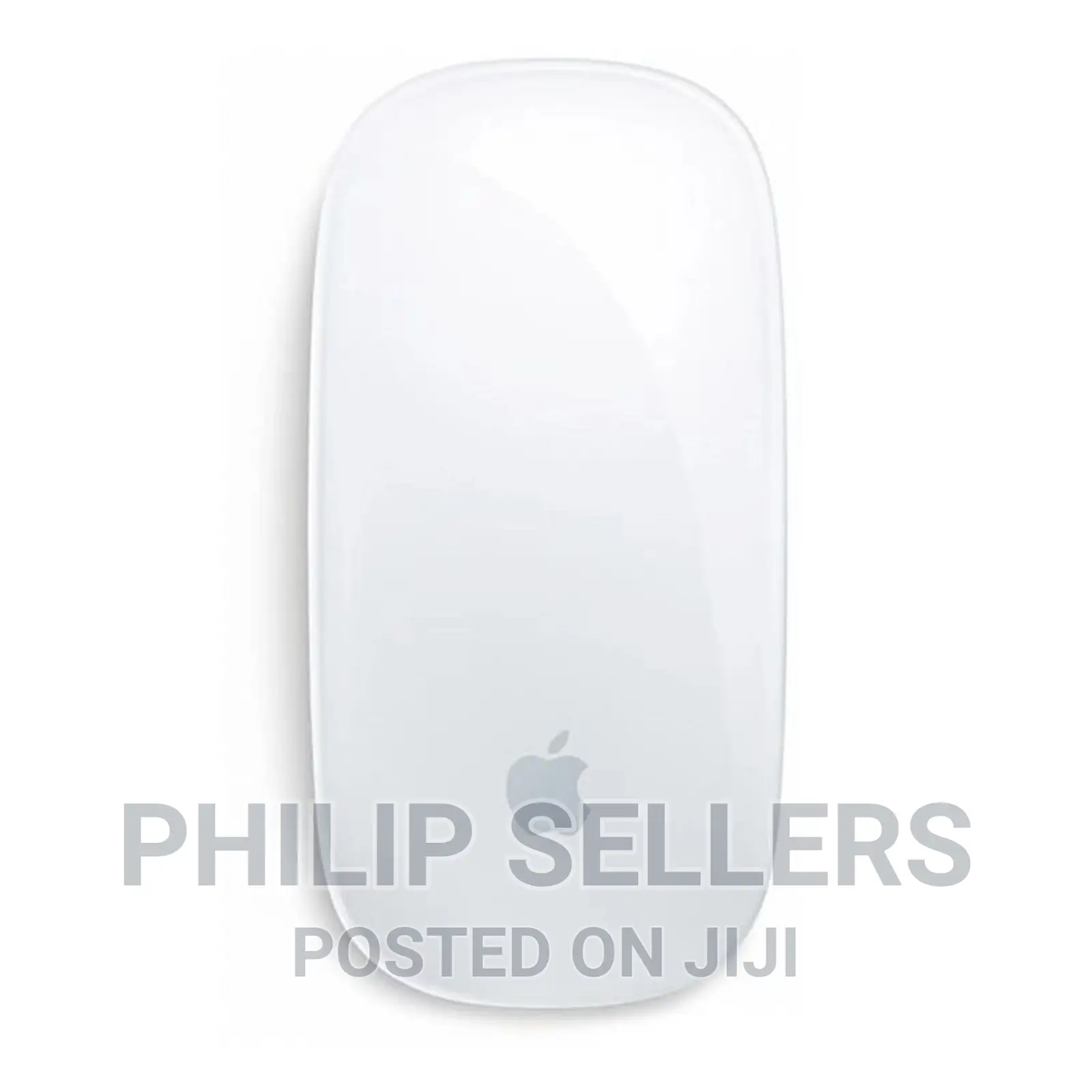 Enjoy the Fast Magic Mouse With Your Laptop or Desktop
