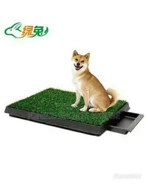 Pet Potty Mat