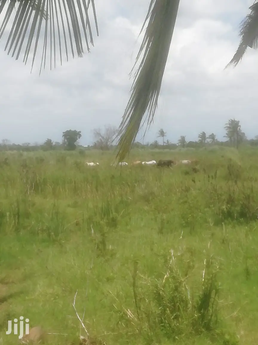 200 Acres Fronting River Malindi
