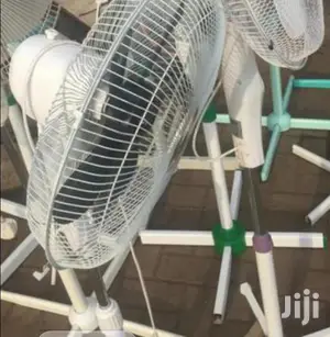 Adjustable Standing Fan