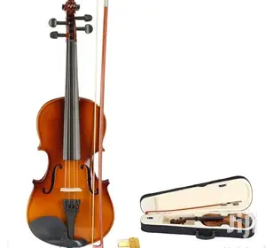 Stentor Violin