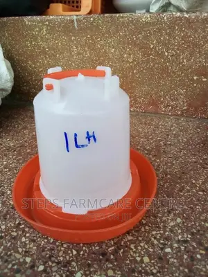 Chicken Feeders and Drinkers