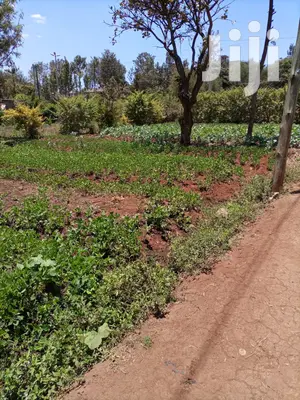 Ruaka Selling Suitable Land For Flats 50 By 60 And 50 By 100