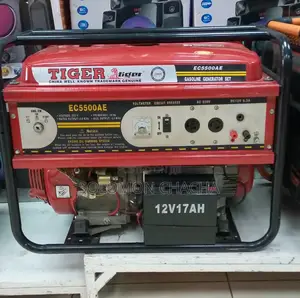 Tiger 4.5kva Generator