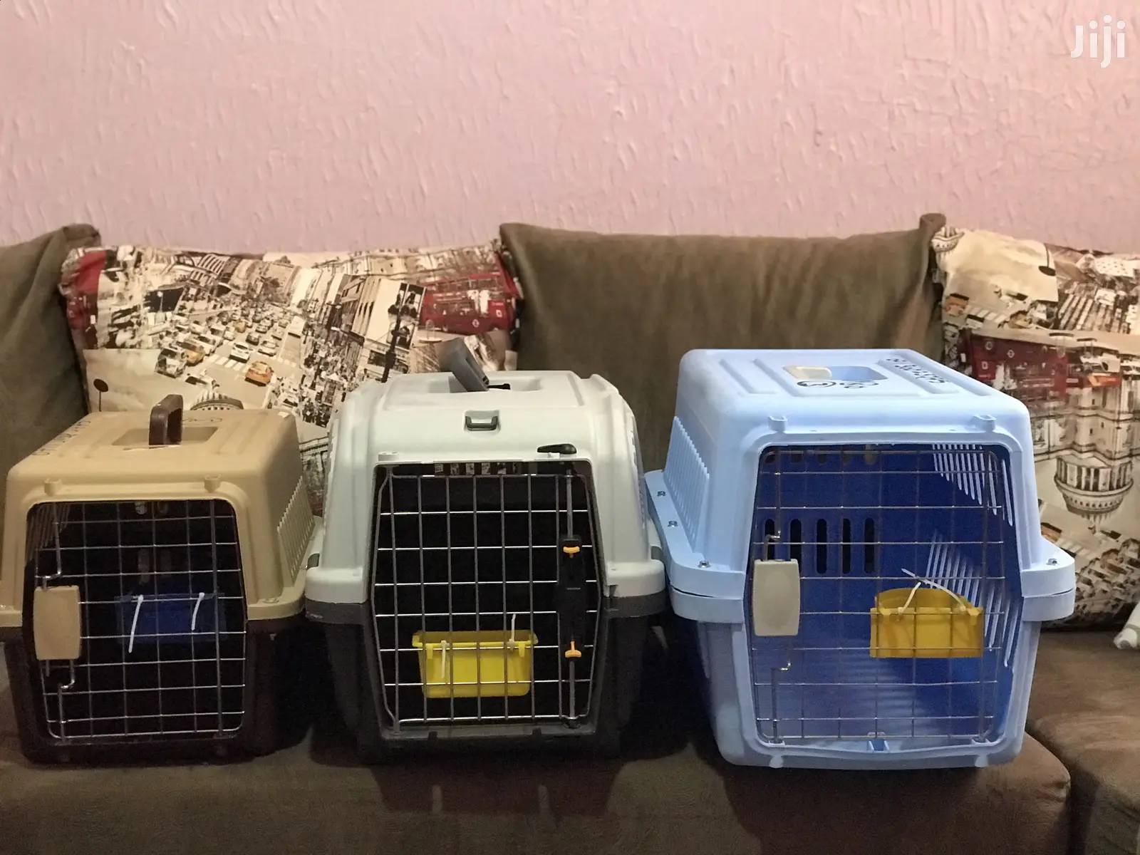 Animal Cage