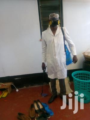 Get Affordable N Reliable Pest Control Services Eg Bedbugs Etc