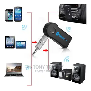 Audio Stereo Music Receiver Adapter With Mic