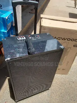 15 Inch Rechargeable Portable Powered Speakers
