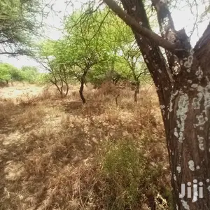 Prime 10 Acres Touching Tinga Najilei Road at 450k Per Acre
