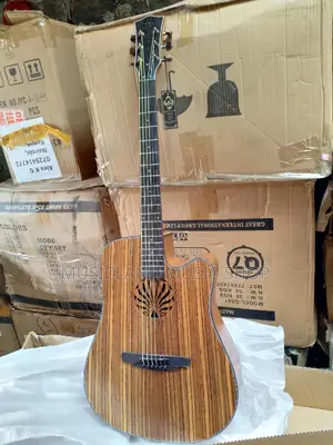 High Quality Semi Acoustic