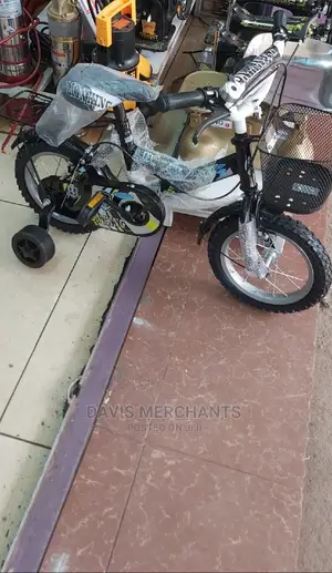 Junior Boys and Girls Bike