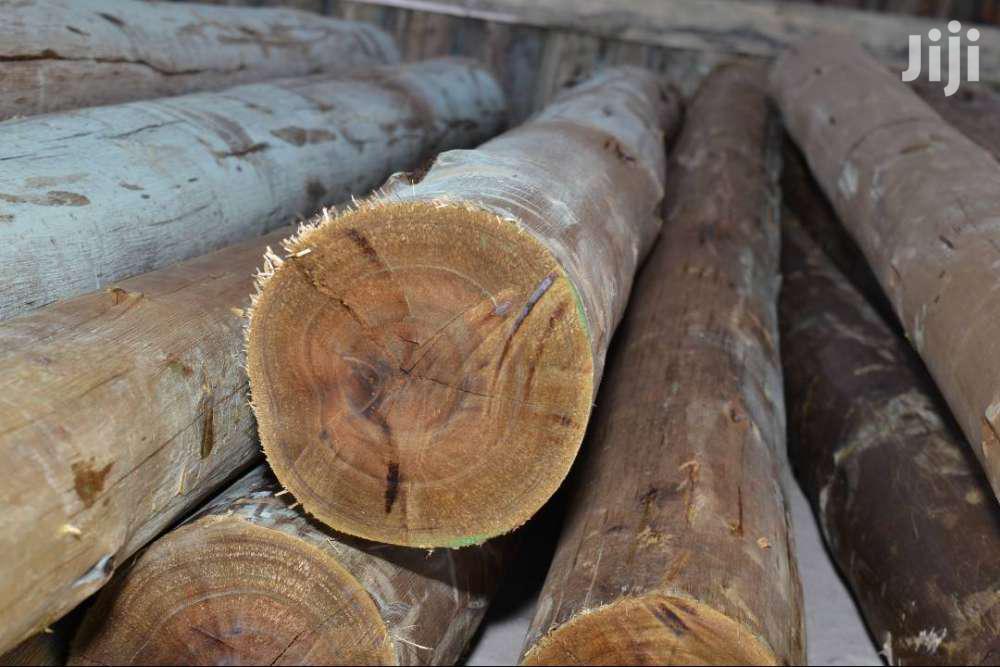 Best CCA Treated Poles For Fencing In Kenya in Nanyuki Building