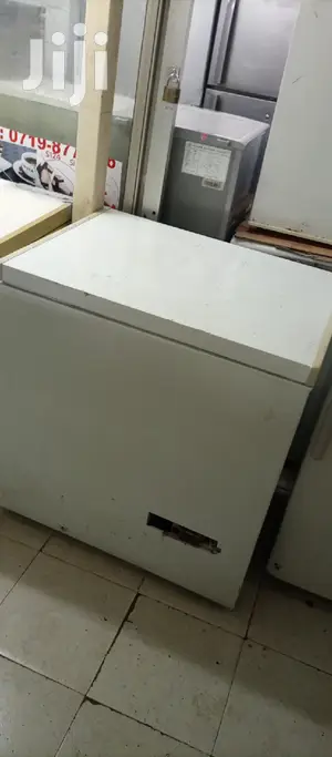 Deep Freezer 250L