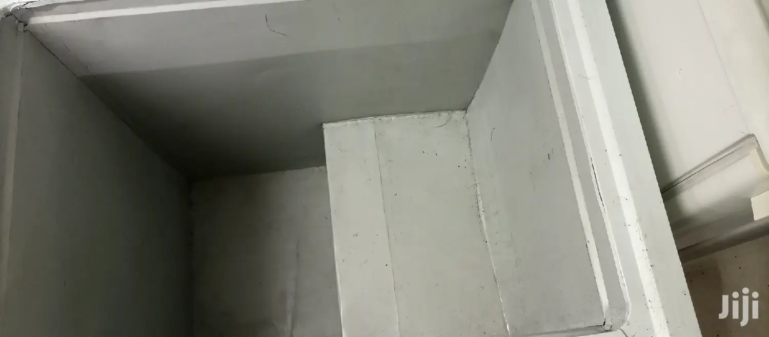 Deep Freezer 250L