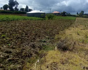 A Plot on Sale at Ihindu Naivasha