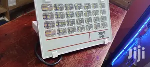 Flood Light